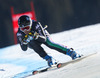 Nadia Fanchini of Italy in action during the ladies Super-G of the Beaver Creek FIS Ski Alpine World Cup at the Birds of Prey Raptor in Beaver Creek, United States on 2012/11/30.

