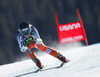 Lotte Smiseth Sejersted of Norway in action during the ladies Super-G of the Beaver Creek FIS Ski Alpine World Cup at the Birds of Prey Raptor in Beaver Creek, United States on 2012/11/30.
