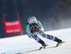 Viktoria Rebensburg of Germany in action during the ladies Super-G of the Beaver Creek FIS Ski Alpine World Cup at the Birds of Prey Raptor in Beaver Creek, United States on 2012/11/30.
