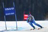 Tina Maze of Slovenia in action during the ladies Super-G of the Beaver Creek FIS Ski Alpine World Cup at the Birds of Prey Raptor in Beaver Creek, United States on 2012/11/30.
