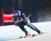 Elena Curtoni of Italy in action during the ladies Super-G of the Beaver Creek FIS Ski Alpine World Cup at the Birds of Prey Raptor in Beaver Creek, United States on 2012/11/30.
