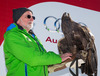 Peter Reshetniak (Raptor Foundation) with eagel after ladies Super-G of the Beaver Creek FIS Ski Alpine World Cup at the Birds of Prey Raptor in Beaver Creek, United States on 2012/11/30.
