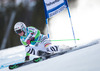 Viktoria Rebensburg of Germany in action during the the 1st run of ladies Giant Slalom of the Beaver Creek FIS Ski Alpine World Cup at the Birds of Prey Raptor in Beaver Creek, United States on 2012/12/01.
