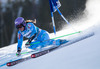 Tina Maze of Slovenia in action during the the 1st run of ladies Giant Slalom of the Beaver Creek FIS Ski Alpine World Cup at the Birds of Prey Raptor in Beaver Creek, United States on 2012/12/01.
