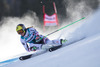 Anna Fenninger of Austria in action during the the 1st run of ladies Giant Slalom of the Beaver Creek FIS Ski Alpine World Cup at the Birds of Prey Raptor in Beaver Creek, United States on 2012/12/01.

