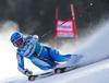 Jessica Lindell-Vikarby of Sweden in action during the the 1st run of ladies Giant Slalom of the Beaver Creek FIS Ski Alpine World Cup at the Birds of Prey Raptor in Beaver Creek, United States on 2012/12/01.
