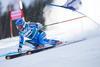 Jessica Lindell-Vikarby of Sweden in action during the the 1st run of ladies Giant Slalom of the Beaver Creek FIS Ski Alpine World Cup at the Birds of Prey Raptor in Beaver Creek, United States on 2012/12/01.
