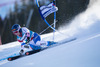 Dominique Gisin of Switzerland in action during the the 1st run of ladies Giant Slalom of the Beaver Creek FIS Ski Alpine World Cup at the Birds of Prey Raptor in Beaver Creek, United States on 2012/12/01.

