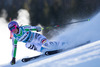 Maria Hoefl-Riesch of Germany in action during the the 1st run of ladies Giant Slalom of the Beaver Creek FIS Ski Alpine World Cup at the Birds of Prey Raptor in Beaver Creek, United States on 2012/12/01.
