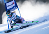 Eva-Maria Brem of Austria in action during the the 1st run of ladies Giant Slalom of the Beaver Creek FIS Ski Alpine World Cup at the Birds of Prey Raptor in Beaver Creek, United States on 2012/12/01.
