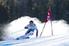 Elisabeth Goergl of Austria in action during the the 1st run of ladies Giant Slalom of the Beaver Creek FIS Ski Alpine World Cup at the Birds of Prey Raptor in Beaver Creek, United States on 2012/12/01.

