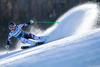 Elisabeth Goergl of Austria in action during the the 1st run of ladies Giant Slalom of the Beaver Creek FIS Ski Alpine World Cup at the Birds of Prey Raptor in Beaver Creek, United States on 2012/12/01.
