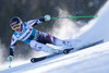 Elisabeth Goergl of Austria in action during the the 1st run of ladies Giant Slalom of the Beaver Creek FIS Ski Alpine World Cup at the Birds of Prey Raptor in Beaver Creek, United States on 2012/12/01.
