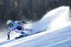 Stefanie Koehle of Austria in action during the the 1st run of ladies Giant Slalom of the Beaver Creek FIS Ski Alpine World Cup at the Birds of Prey Raptor in Beaver Creek, United States on 2012/12/01.
