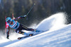 Marie-Michele Gagnon of Canada in action during the the 1st run of ladies Giant Slalom of the Beaver Creek FIS Ski Alpine World Cup at the Birds of Prey Raptor in Beaver Creek, United States on 2012/12/01.
