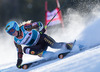 Marie-Michele Gagnon of Canada in action during the the 1st run of ladies Giant Slalom of the Beaver Creek FIS Ski Alpine World Cup at the Birds of Prey Raptor in Beaver Creek, United States on 2012/12/01.
