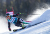 Denise Karbon of Italy in action during the the 1st run of ladies Giant Slalom of the Beaver Creek FIS Ski Alpine World Cup at the Birds of Prey Raptor in Beaver Creek, United States on 2012/12/01.
