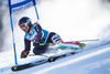 Denise Karbon of Italy in action during the the 1st run of ladies Giant Slalom of the Beaver Creek FIS Ski Alpine World Cup at the Birds of Prey Raptor in Beaver Creek, United States on 2012/12/01.
