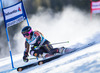 Marie-Pier Prefontaine of Canada in action during the the 1st run of ladies Giant Slalom of the Beaver Creek FIS Ski Alpine World Cup at the Birds of Prey Raptor in Beaver Creek, United States on 2012/12/01.
