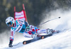 Ramona Siebenhofer of Austria in action during the the 1st run of ladies Giant Slalom of the Beaver Creek FIS Ski Alpine World Cup at the Birds of Prey Raptor in Beaver Creek, United States on 2012/12/01.

