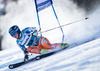 Nina Loeseth of Norway in action during the the 1st run of ladies Giant Slalom of the Beaver Creek FIS Ski Alpine World Cup at the Birds of Prey Raptor in Beaver Creek, United States on 2012/12/01.
