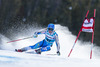 Sara Hector of Sweden in action during the the 1st run of ladies Giant Slalom of the Beaver Creek FIS Ski Alpine World Cup at the Birds of Prey Raptor in Beaver Creek, United States on 2012/12/01.
