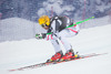 Max Franz of Austria in action during mens downhill of the Beaver Creek FIS Ski Alpine World Cup at the Birds of Prey in Beaver Creek, United States on 2012/12/06.
