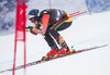 Erik Guay of Canada in action during mens downhill of the Beaver Creek FIS Ski Alpine World Cup at the Birds of Prey in Beaver Creek, United States on 2012/12/06.
