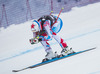 Adrien Theaux of France in action during mens downhill of the Beaver Creek FIS Ski Alpine World Cup at the Birds of Prey in Beaver Creek, United States on 2012/12/06.
