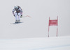 Florian Scheiber of Austria in action during mens downhill of the Beaver Creek FIS Ski Alpine World Cup at the Birds of Prey in Beaver Creek, United States on 2012/12/06.
