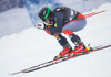 Marco Sullivan of the USA in action during mens downhill of the Beaver Creek FIS Ski Alpine World Cup at the Birds of Prey in Beaver Creek, United States on 2012/12/06.
