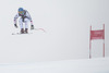 Romed Baumann of Austria in action during mens downhill of the Beaver Creek FIS Ski Alpine World Cup at the Birds of Prey in Beaver Creek, United States on 2012/12/06.
