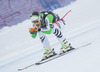 Tobias Stechert of Germany in action during mens downhill of the Beaver Creek FIS Ski Alpine World Cup at the Birds of Prey in Beaver Creek, United States on 2012/12/06.
