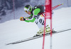 Tobias Stechert of Germany in action during mens downhill of the Beaver Creek FIS Ski Alpine World Cup at the Birds of Prey in Beaver Creek, United States on 2012/12/06.
