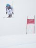 Otmar Striedinger of Austria in action during mens downhill of the Beaver Creek FIS Ski Alpine World Cup at the Birds of Prey in Beaver Creek, United States on 2012/12/06.
