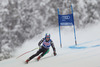 Werner Heel of Italy in action during mens Super-G of the Beaver Creek FIS Ski Alpine World Cup at the Birds of Prey in Beaver Creek, United States on 2012/12/07.

