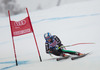 Werner Heel of Italy in action during mens Super-G of the Beaver Creek FIS Ski Alpine World Cup at the Birds of Prey in Beaver Creek, United States on 2012/12/07.
