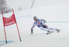 Hannes Reichelt of Austria in action during mens Super-G of the Beaver Creek FIS Ski Alpine World Cup at the Birds of Prey in Beaver Creek, United States on 2012/12/07.
