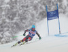 Ted Ligety of the USA in action during mens Super-G of the Beaver Creek FIS Ski Alpine World Cup at the Birds of Prey in Beaver Creek, United States on 2012/12/07.
