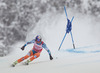 Aksel Lund Svindal of Norway in action during mens Super-G of the Beaver Creek FIS Ski Alpine World Cup at the Birds of Prey in Beaver Creek, United States on 2012/12/07.
