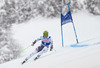 Klaus Kroell of Austria in action during mens Super-G of the Beaver Creek FIS Ski Alpine World Cup at the Birds of Prey in Beaver Creek, United States on 2012/12/07.
