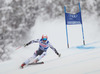 Joachim Puchner of Austria in action during mens Super-G of the Beaver Creek FIS Ski Alpine World Cup at the Birds of Prey in Beaver Creek, United States on 2012/12/07.

