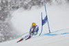 Max Franz of Austria in action during mens Super-G of the Beaver Creek FIS Ski Alpine World Cup at the Birds of Prey in Beaver Creek, United States on 2012/12/07.
