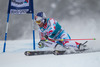Alexis Pinturault (FRA) // Alexis Pinturault of France in action during the the 1st run of mens Giant Slalom of the Beaver Creek FIS Ski Alpine World Cup at the Birds of Prey Raptor in Beaver Creek, United States on 2012/12/08.
