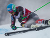 Ted Ligety (USA) // Ted Ligety of the USA in action during the the 1st run of mens Giant Slalom of the Beaver Creek FIS Ski Alpine World Cup at the Birds of Prey Raptor in Beaver Creek, United States on 2012/12/08.
