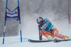 Aksel Lund Svindal (NOR) // Aksel Lund Svindal of Norway in action during the the 1st run of mens Giant Slalom of the Beaver Creek FIS Ski Alpine World Cup at the Birds of Prey Raptor in Beaver Creek, United States on 2012/12/08.
