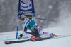 Benjamin Raich (AUT) // Benjamin Raich of Austria in action during the the 1st run of mens Giant Slalom of the Beaver Creek FIS Ski Alpine World Cup at the Birds of Prey Raptor in Beaver Creek, United States on 2012/12/08.
