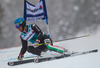 Davide Simoncelli (ITA) // Davide Simoncelli of Italy in action during the the 1st run of mens Giant Slalom of the Beaver Creek FIS Ski Alpine World Cup at the Birds of Prey Raptor in Beaver Creek, United States on 2012/12/08.
