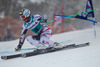 Hannes Reichelt (AUT) // Hannes Reichelt of Austria in action during the the 1st run of mens Giant Slalom of the Beaver Creek FIS Ski Alpine World Cup at the Birds of Prey Raptor in Beaver Creek, United States on 2012/12/08.
