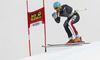 Christof Innerhofer of Italy skiing during second training run of men Audi FIS Alpine skiing World cup downhill race in Val Gardena, Italy. Second training run for men downhill race of Audi FIS Alpine skiing World cup 2013-2014 was held on Thursday, 19th of December 2013 on Saslong course in Val Gardena, Italy.
